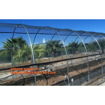 Pe Film For Greenhouses, Construction Film, PP Leno Bags, Anti Insect Net 25 Mesh, Anti Bird Net